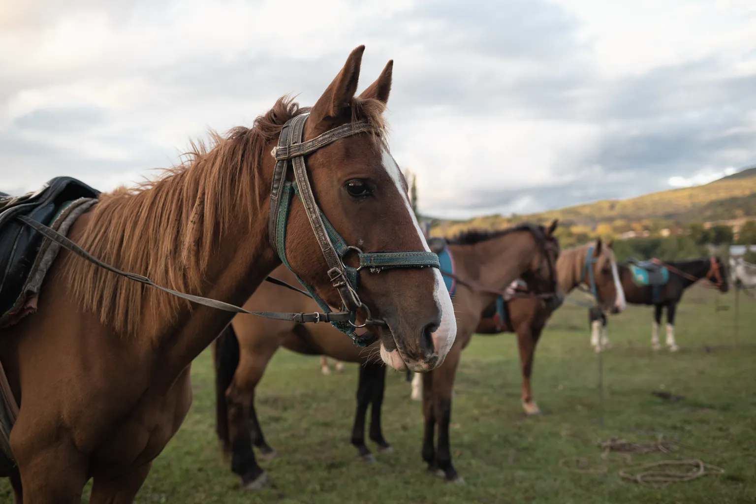 Cabalgata al atardecer